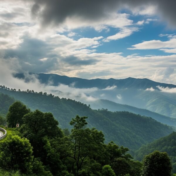 enroute phuentsholing bagdogra